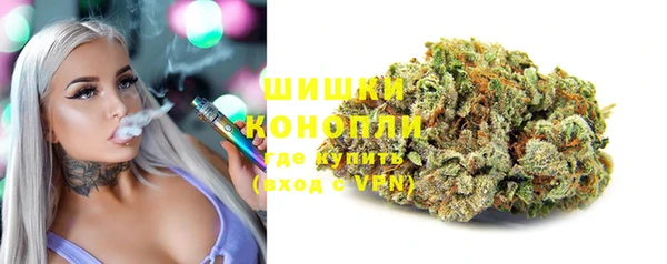 гидропоника Бородино