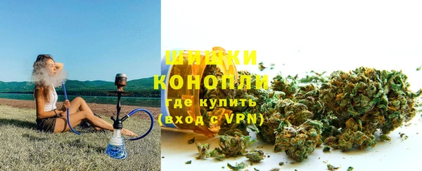 гидропоника Бородино