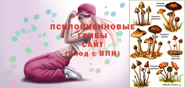 амф Бугульма