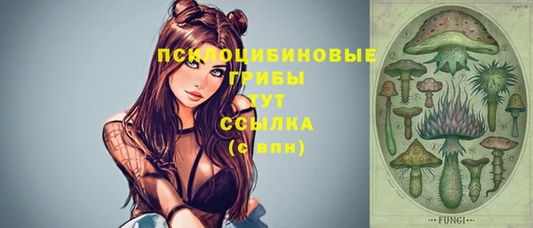 гидропоника Бородино