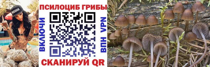 Псилоцибиновые грибы мухоморы  Вышний Волочёк 
