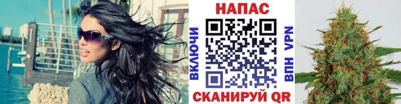 Конопля MAZAR  Вышний Волочёк 